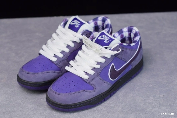 Purple Nike Lobster Dunk BV1310-555 Low SB Concepts 1231